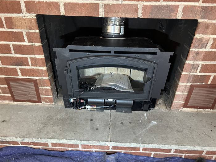 Wood-burning insert